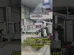 Macchina di termoformatura a vuoto a controllo PLC per materiali degradabili