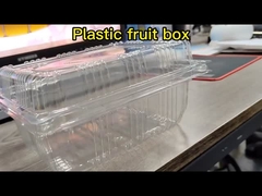 Stampo per scatole di frutta in plastica a pressione positiva e negativa