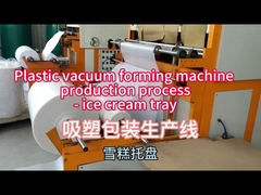 Macchina per modellare in vuoto 100 m3/h Flusso 0-300°C Temperatura 1220*710mm Max Area di modellazione