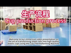 Macchina di termoformatura in plastica a comando automatico con area di formazione 750*500 mm