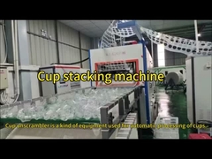 Semplice funzionamento e prova rapida per soddisfare le diverse esigenze della macchina di termoformatura di plastica