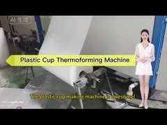 Macchina di termoformatura di tazze di tè di plastica completamente automatica
