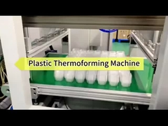 Macchina di termoformatura per scatole di frutta in PP completamente automatica