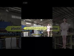 Macchina per la produzione di vassoi in plastica di qualità superiore, macchina per la produzione di contenitori per alimenti in plastica