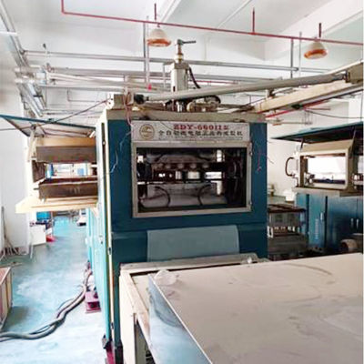 Macchina di termoformatura di tazze da 8000 kg con larghezza massima di 750 mm