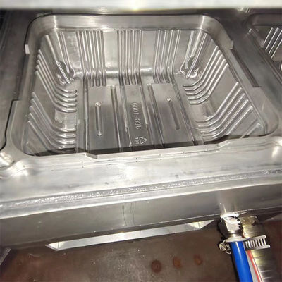 Cassa di frutta di plastica per la termoformazione di stampi a pressione positiva-negativa