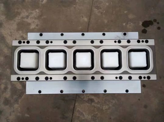 Stampo termoformato personalizzato con spessore di finitura superficiale liscia