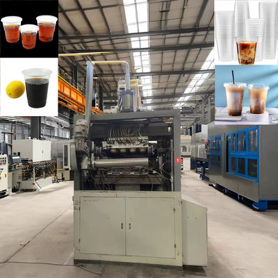 Alta velocità Disposable Thermoforming Coppa Making Machine Torta Caffè PP PS Pet Acqua gelatina gelato Coppa di plastica Making Machine