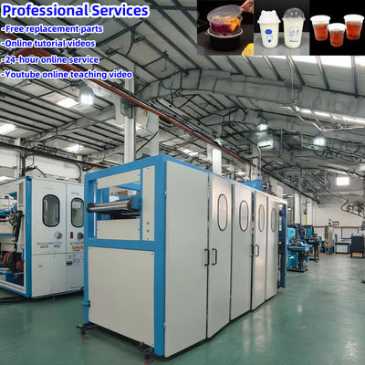 520mm Max Formando Larghezza Plastico termoforming Machine per Ice Cream PP Coppa e tazze di caffè ghiacciato