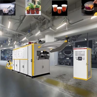 Macchina di termoformatura di bicchieri di plastica ad alta velocità
