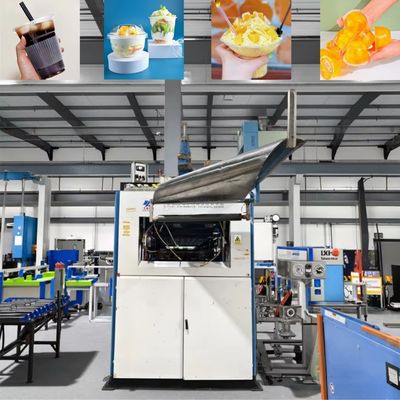 Macchine per la fabbricazione di piatti e tazze monouso completamente automatiche