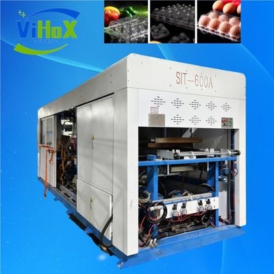 Eficienza del vassoio alimentare in plastica