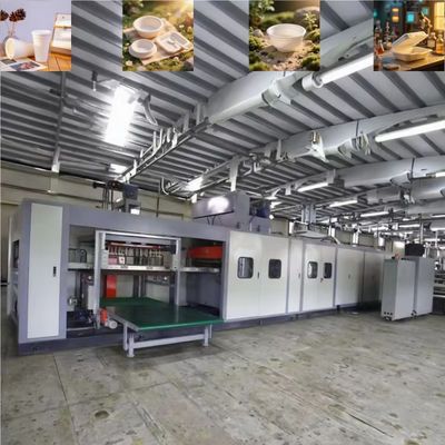 Macchina di produzione di scatole da pranzo monouso in schiuma PS completamente automatica