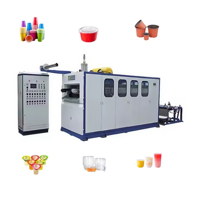 Macchina per la produzione di coppette in gelatina di plastica ad alta efficienza  Macchina per termoformatura della plastica