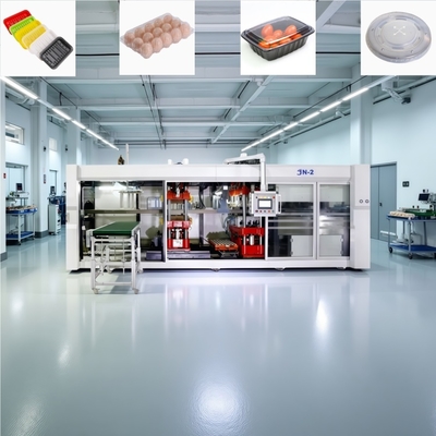 Macchina per la fabbricazione di vassoi di uova in plastica controllata da PLC