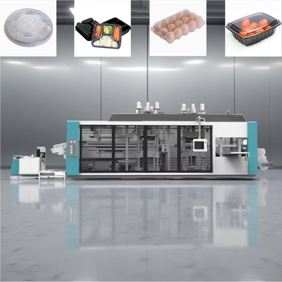 Macchina termoformatrice di plastica completamente automatizzata per contenitori alimentari